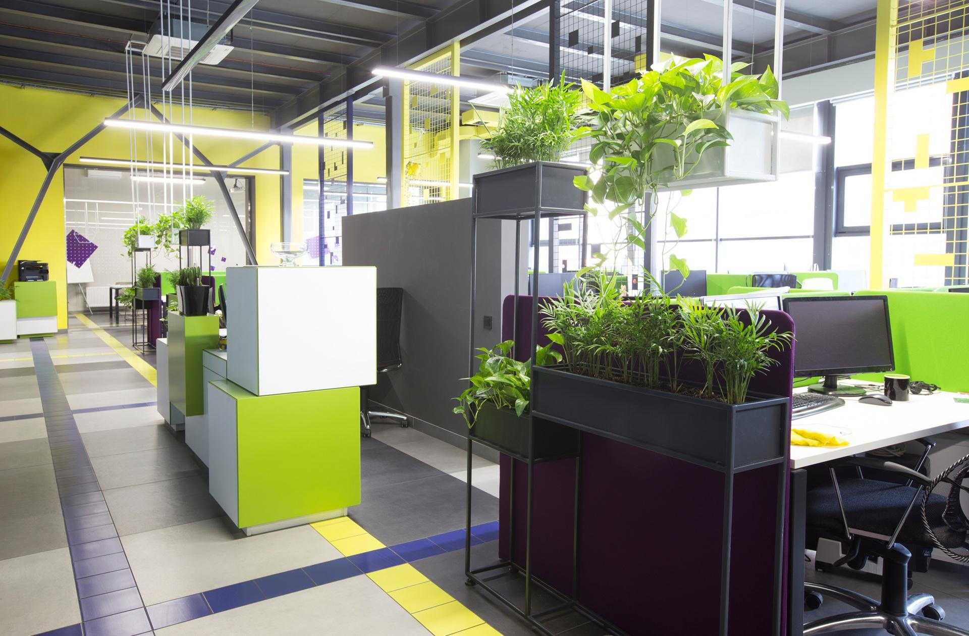 Büro mit Pflanzen und grünem Design | Gründach